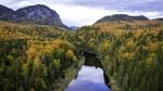 River running through the middle of a forest with mountains in the background