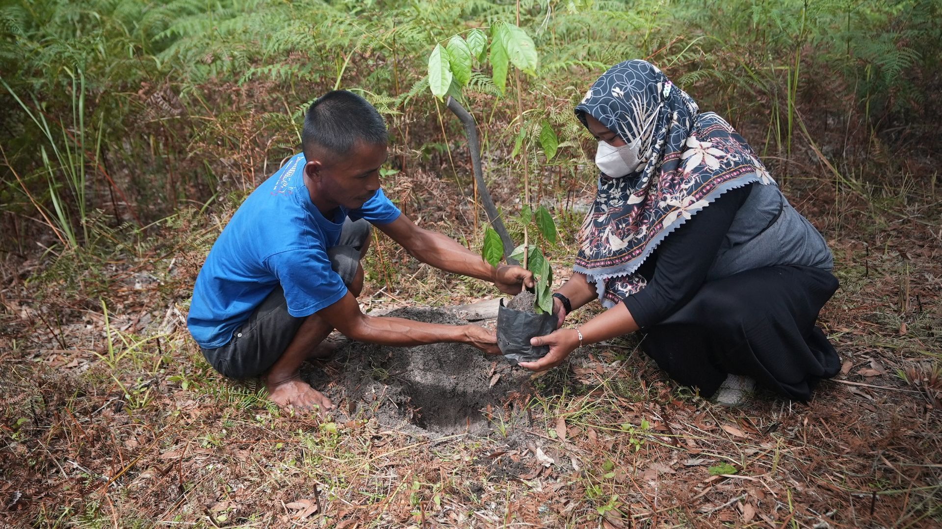A man and a woman plant a seedling in rough soil