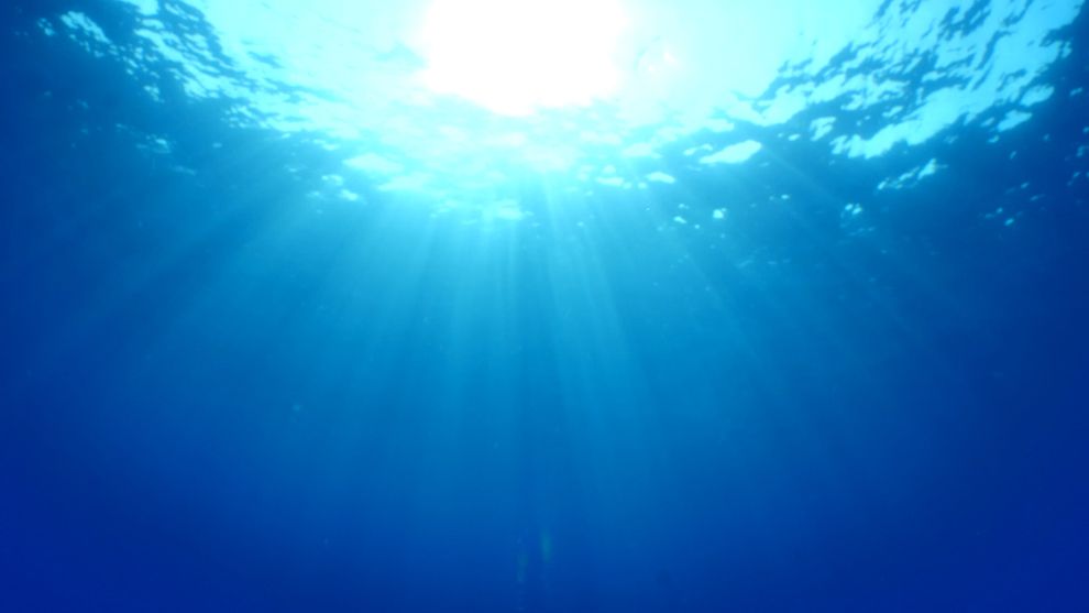 Plastics in the sea