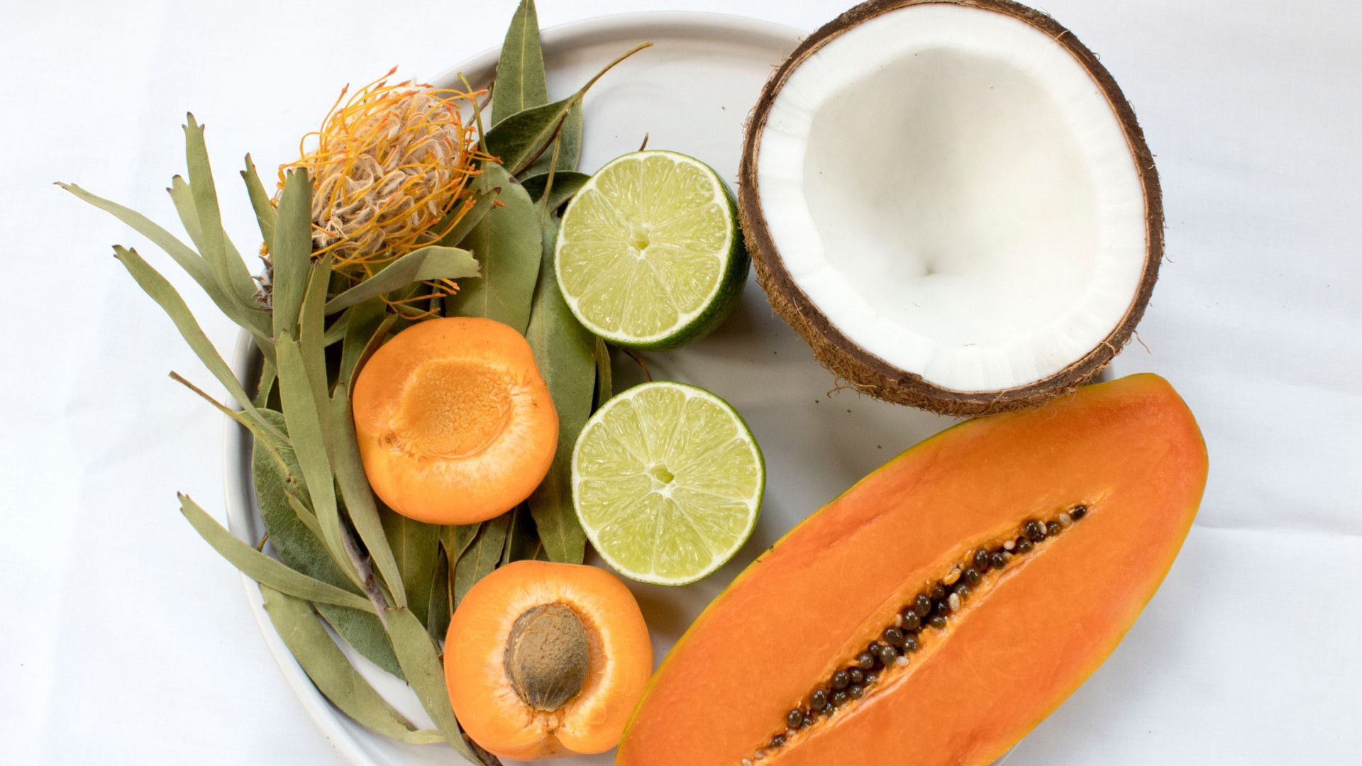 the role of individual quality of fats