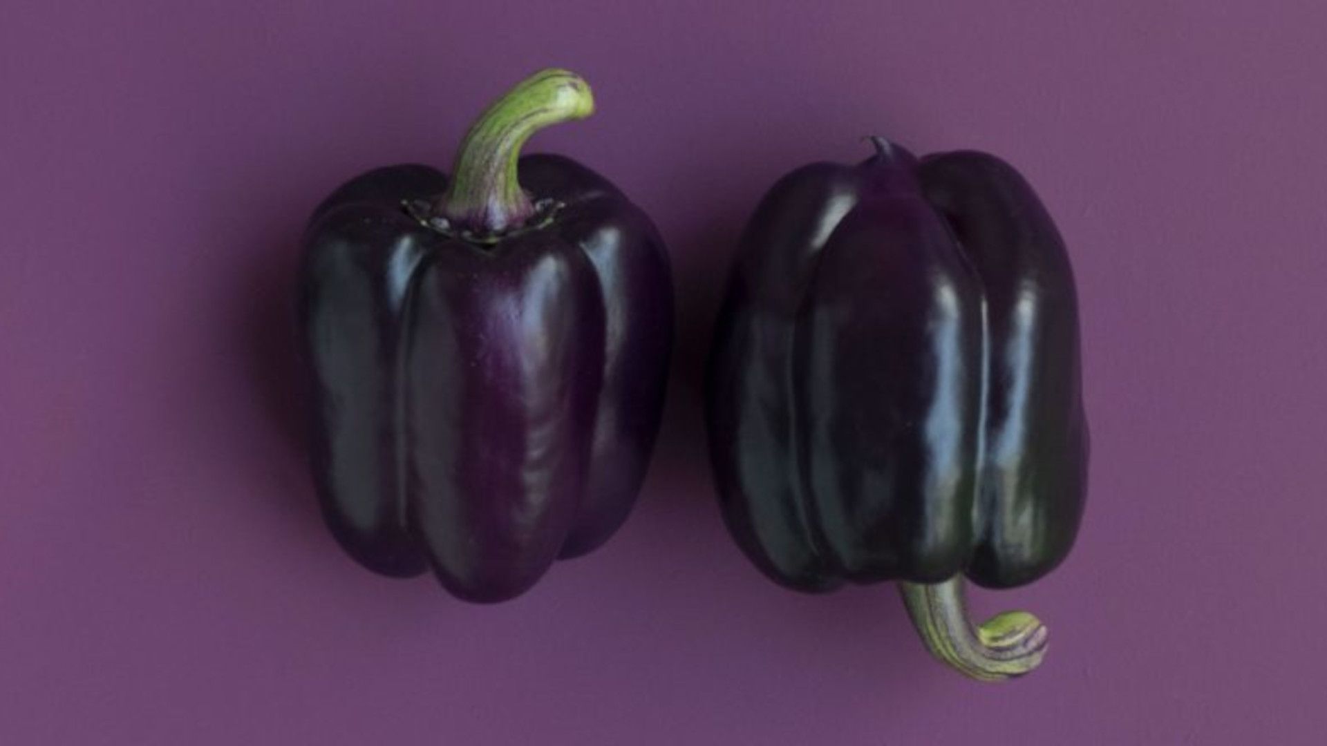 Knorr’s Guide to Cooking with More Vegetables