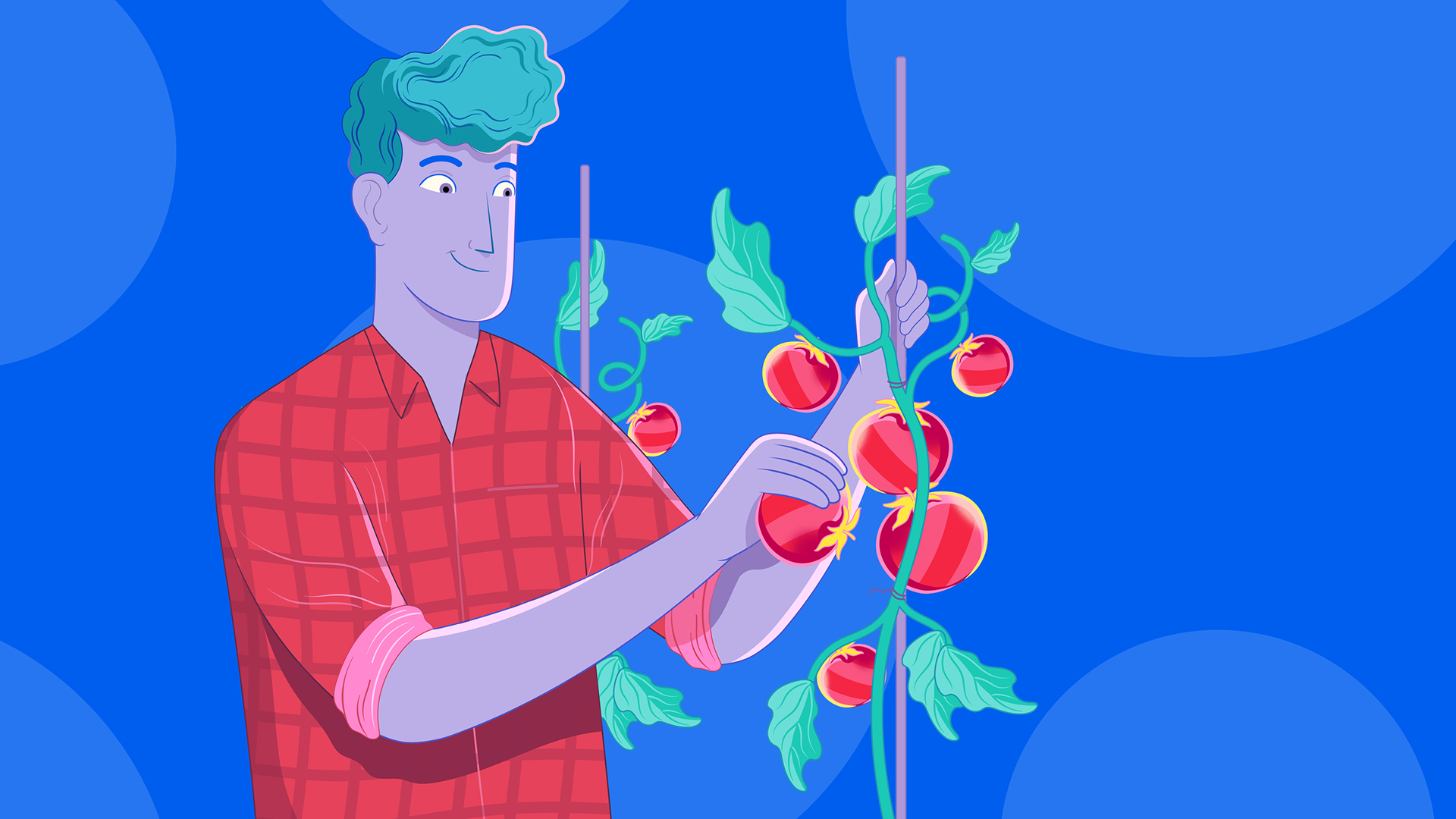 People tomato farmer blue background