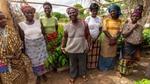 A group of women cocoa farmers.
