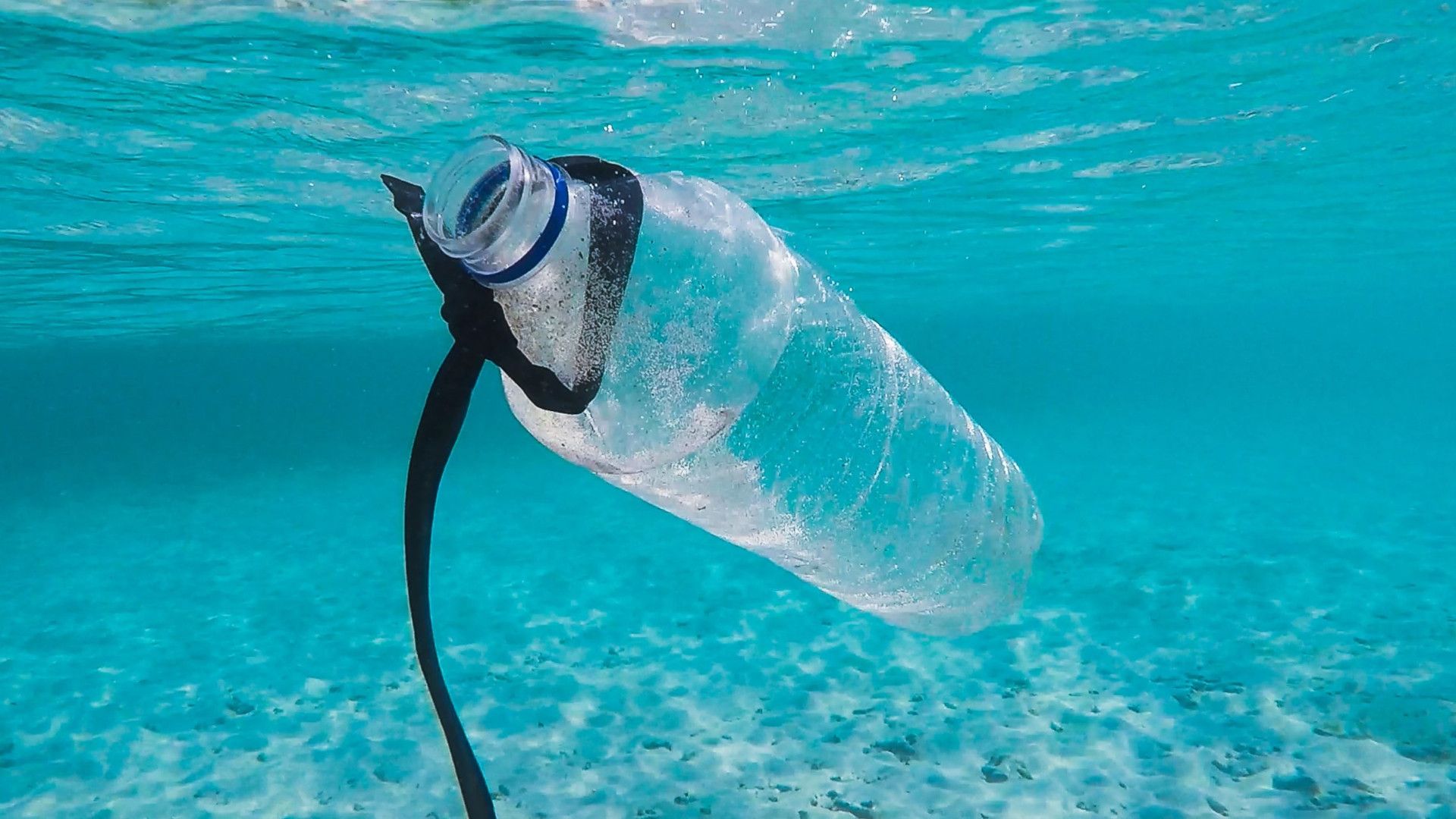 The Battle against Plastic is on