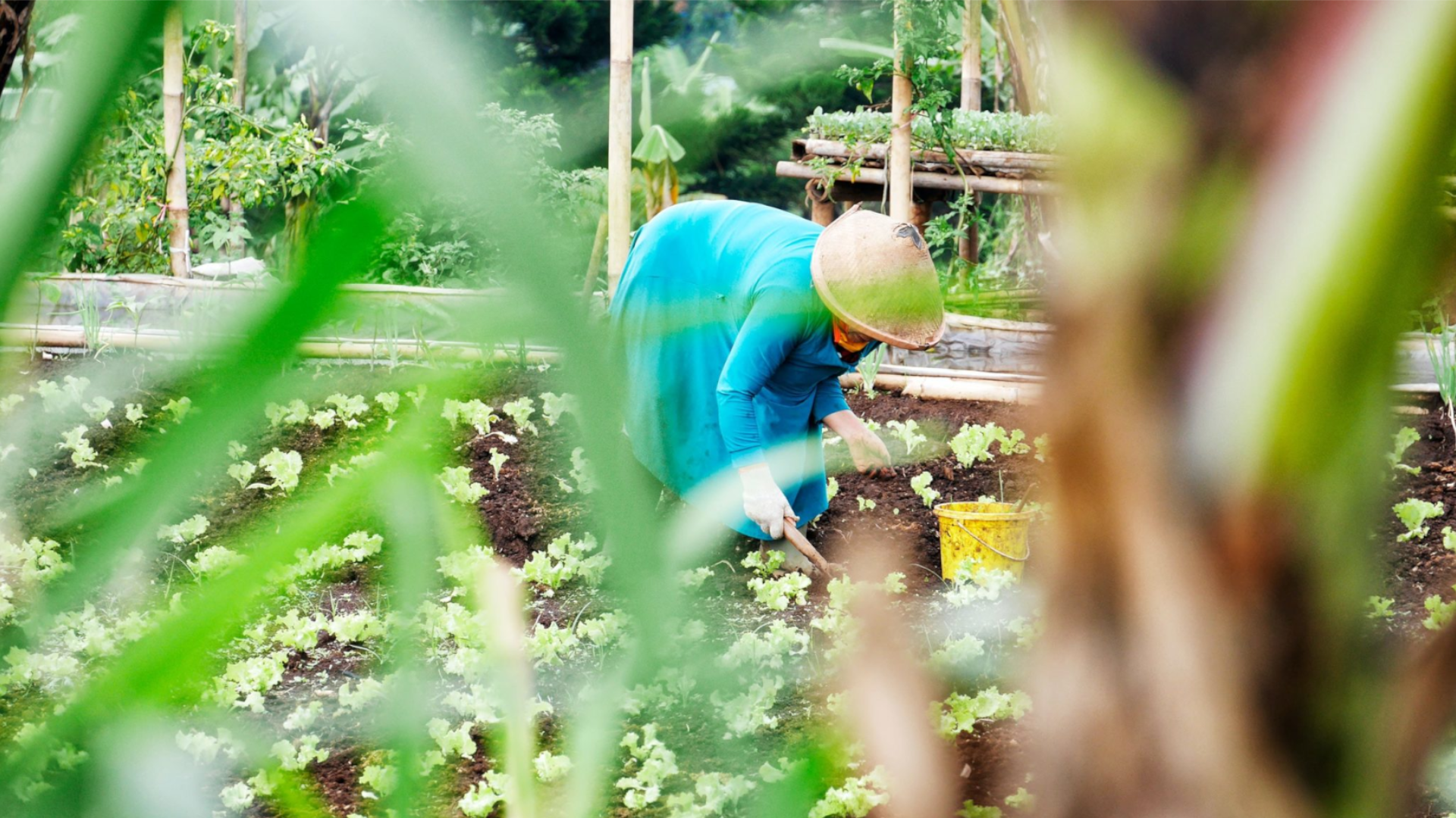 A sustainable and bright future