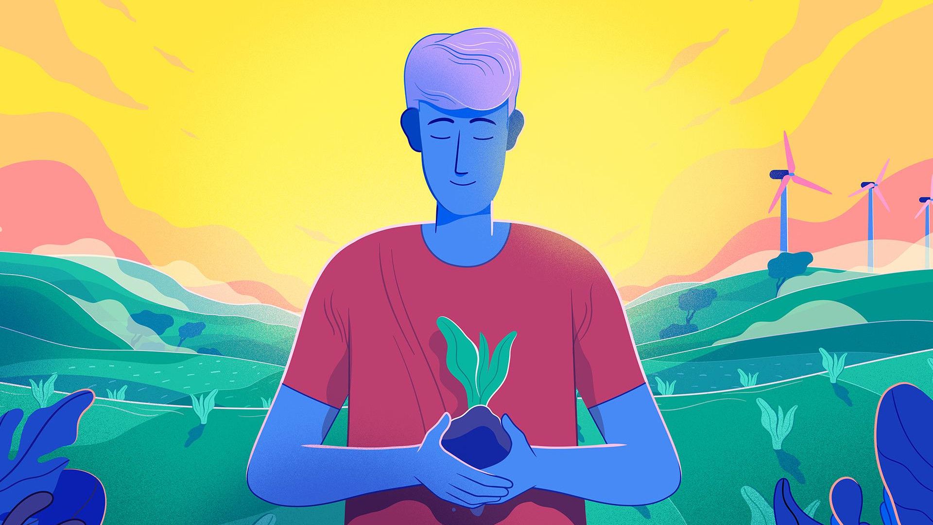 What is A Balanced Diet