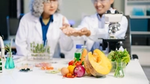 Scientists in lab coats analyzing food samples and vegetables alongside a microscope.